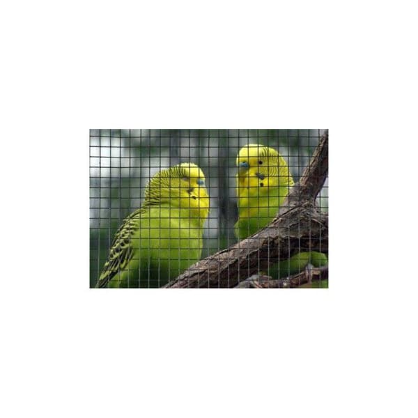 Square Wire Mesh - NATURAL - 0.5 x 3 m - 19 mm Thick - Green