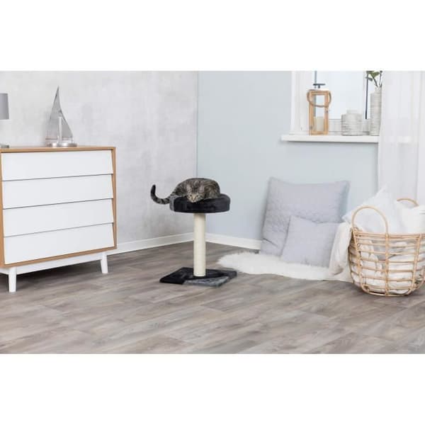 TRIXIE Tarifa Junior Cat Tree 52 cm - Grey and Black