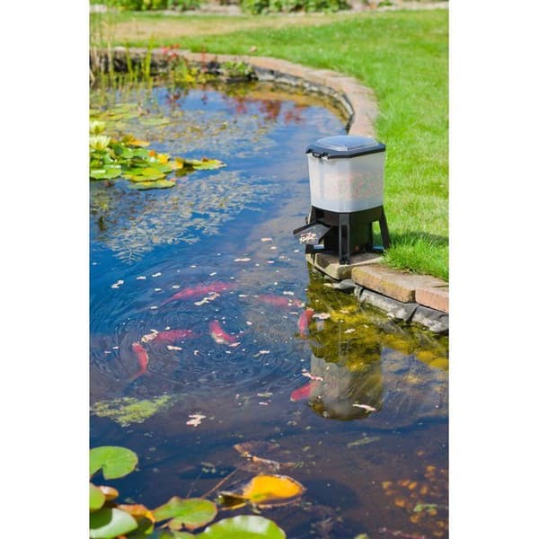 UBBINK Solar Powered Automatic Fish Feeder - 6 L Reservoir - Adjustable Feedings