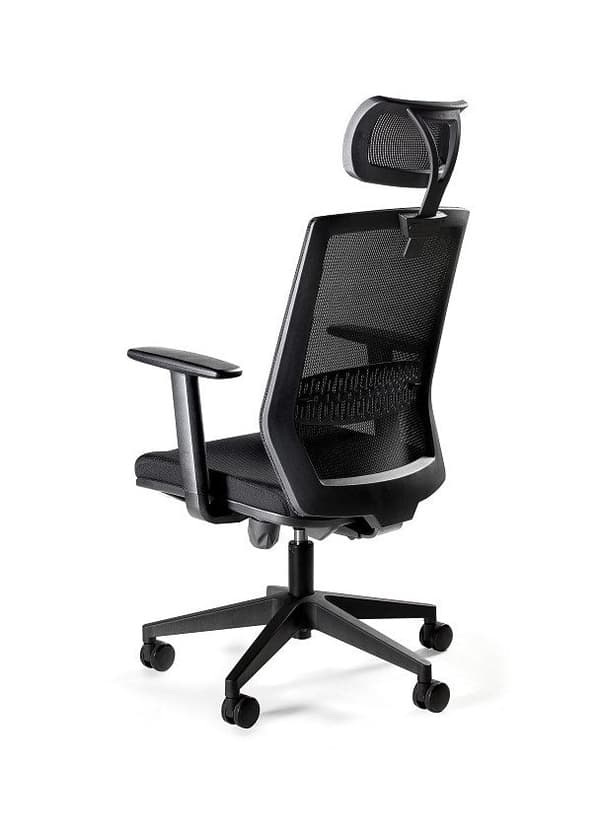 Ergonomic Office Chair ESTA Black with Adjustable Armrests