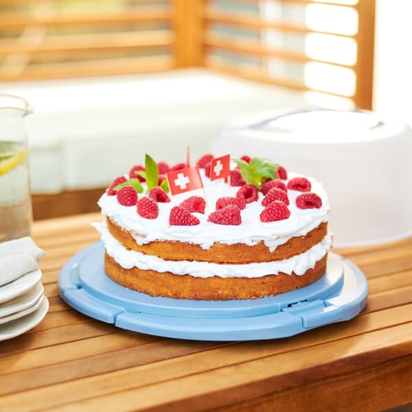 Rotho Fresh Cake Box Cool & Horizon Blue