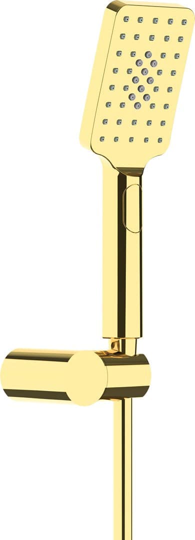 ALPINIA Shower Set Gold ABS 3-Function Handset Wall-Mounted NGA Z41K