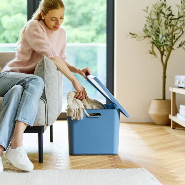 Rotho Wednesday Multibox 55 L Blue