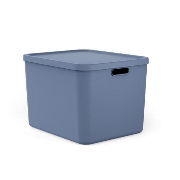Rotho Wednesday Multibox 55 L Blue