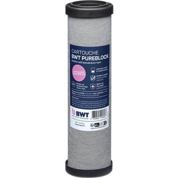 BWT Duplex Filtration Station - PURACTIV - ARCTIC 20 µm + PUREBLOCK