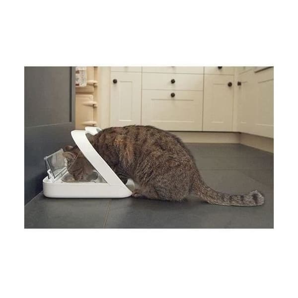 SUREFEED Microchip Pet Feeder - White - Includes Single Bowl, Double Bowl, Mat & ID Tag