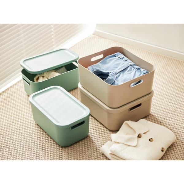 Rotho Albula Storage Box 12 L Mistletoe Green