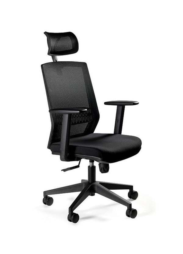 Ergonomic Office Chair ESTA Black with Adjustable Armrests