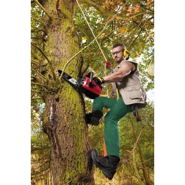 SCHEPPACH CSP2540 Petrol Chainsaw - 25 cm - 25CC