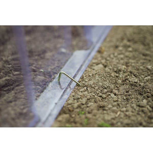 Nature End Cap for Modular Forcing Tunnel - 22 x 21.5 x 40 cm