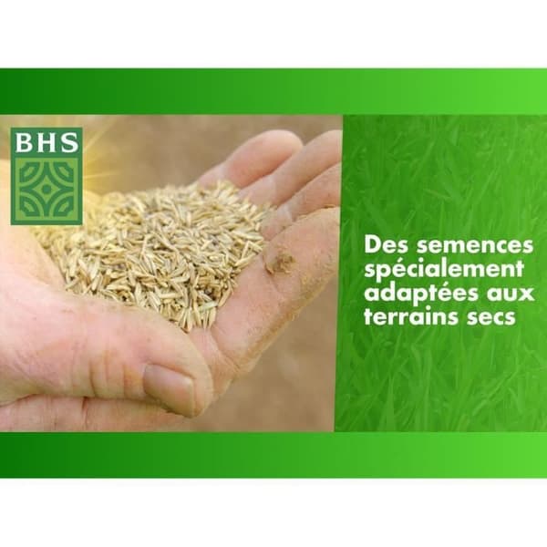 BHS Grass Seed - Overseeding Dry Ground - 3 kg - Durable