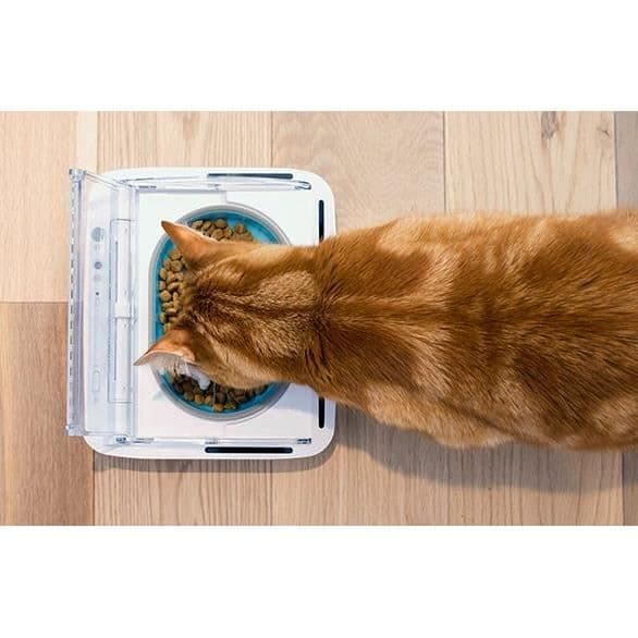 SUREFEED Automatic Odor-Free Cat Feeder - White - Airtight Lid