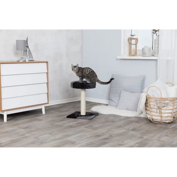 TRIXIE Tarifa Junior Cat Tree 52 cm - Grey and Black