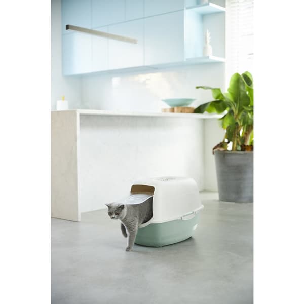 Rotho Bailey Cat Litter Box Eco Green/Sand