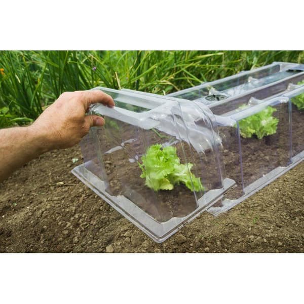 Nature End Cap for Modular Forcing Tunnel - 22 x 21.5 x 40 cm