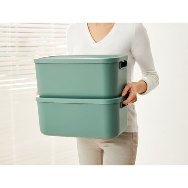 Rotho Albula Storage Box 12 L Mistletoe Green