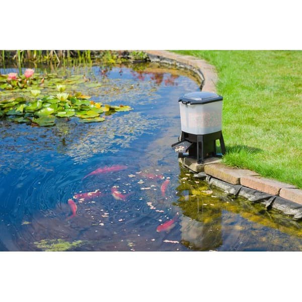 UBBINK Solar Powered Automatic Fish Feeder - 6 L Reservoir - Adjustable Feedings