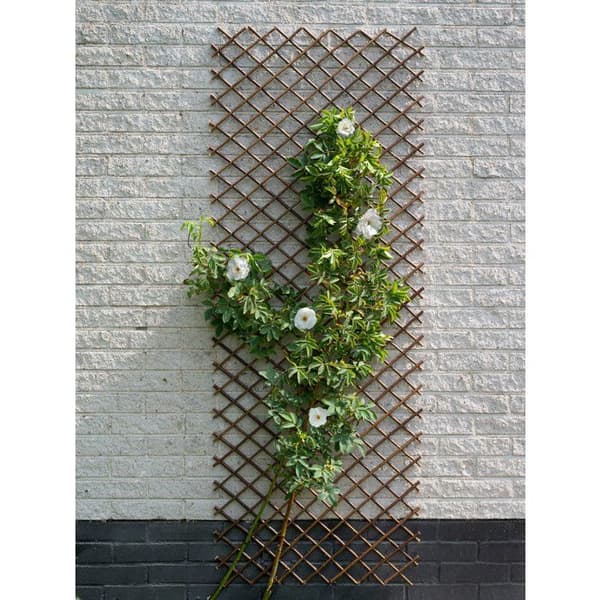 Nature Expandable Natural Willow Trellis 60x180 cm
