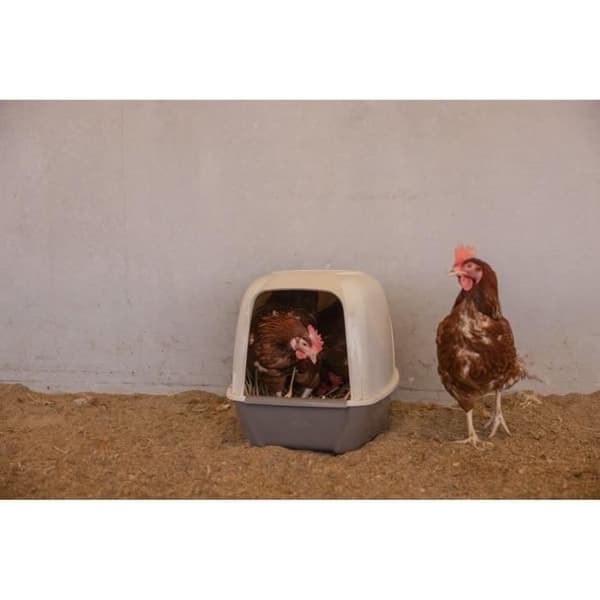KERBL Nesting Box for Hens - 52 x 39 x 39 cm