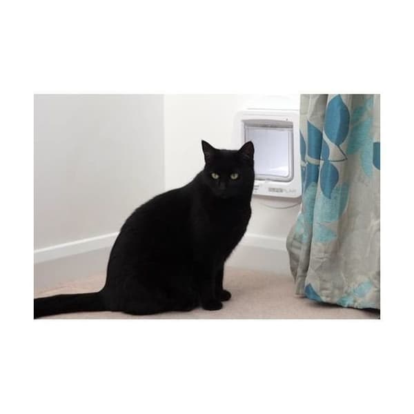 SUREFLAP Large Smart Microchip Cat Flap - White - 178 mm x 170 mm