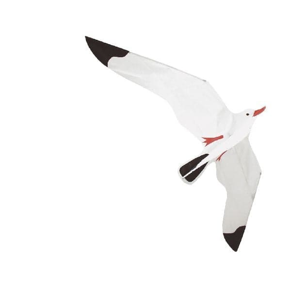 Rhombus Seagull Kite Ready to Fly