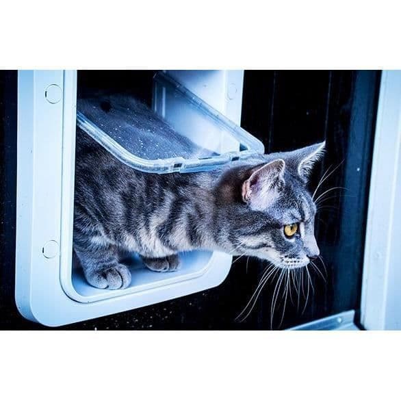 SUREFLAP Large Microchip Cat Flap - White - 178 mm x 170 mm (Stores up to 32 Microchips)