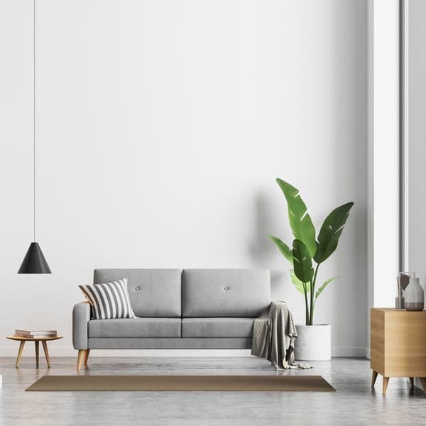 RIPOLIN Wall and Ceiling Paint - White - Matte - 10 L - Special Two-Coat Edition