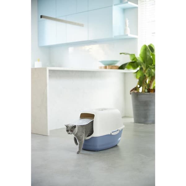 Rotho Bailey Cat Litter Box Eco Blue/Sand
