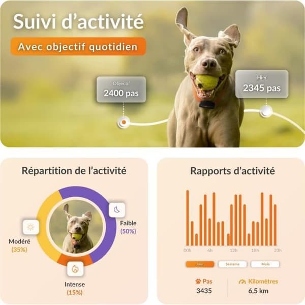 Weenect XS GPS Tracker for Dogs - Black Edition 2023
