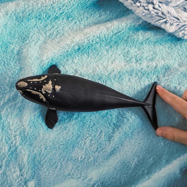 Schleich North Atlantic Right Whale - Sea Creature - Suitable for Ages 5+