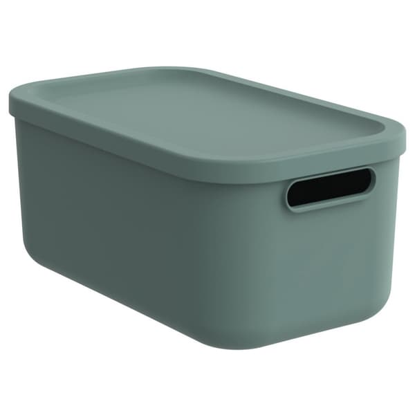 Rotho Albula Storage Box 12 L Mistletoe Green