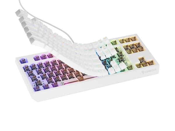 GENESIS Thor 230 TKL Keyboard Gaming USB + RF Wireless + Bluetooth QWERTY White