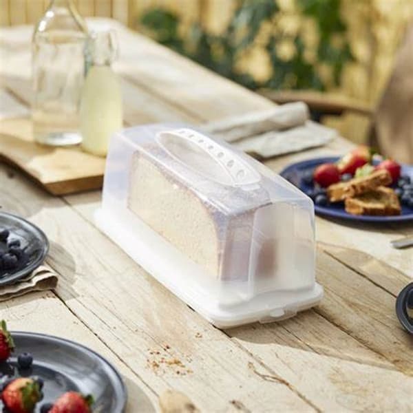 Rotho Fresh Rectangular Cake Box 36x16.5x16.5 cm White/Transparent