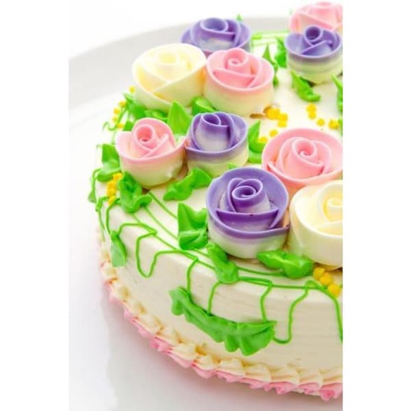 Patisse Decorating Piping Syringe 19 cm Transparent/White