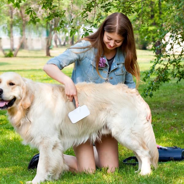 3-Piece Pet Grooming Set