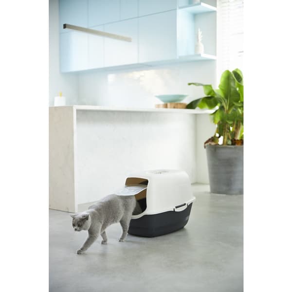 Rotho Bailey Cat Litter Box Eco Black/Sand 56 x 40 x 39 cm