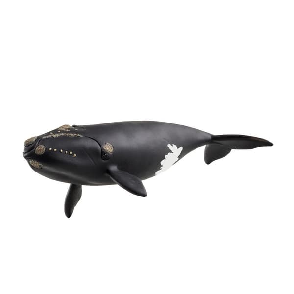 Schleich North Atlantic Right Whale - Sea Creature - Suitable for Ages 5+