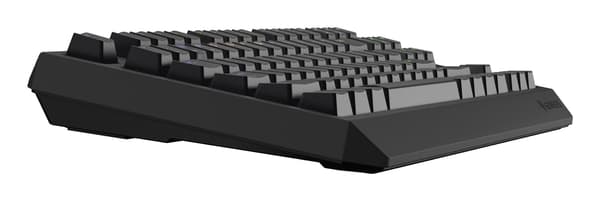 GENESIS Thor 230 TKL Gaming Keyboard USB + RF Wireless + Bluetooth Black