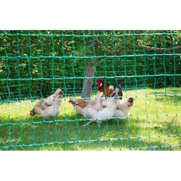 KERBL Chicken Net - 50 m - 106 cm - Double Pointed - Green - Non-Electric