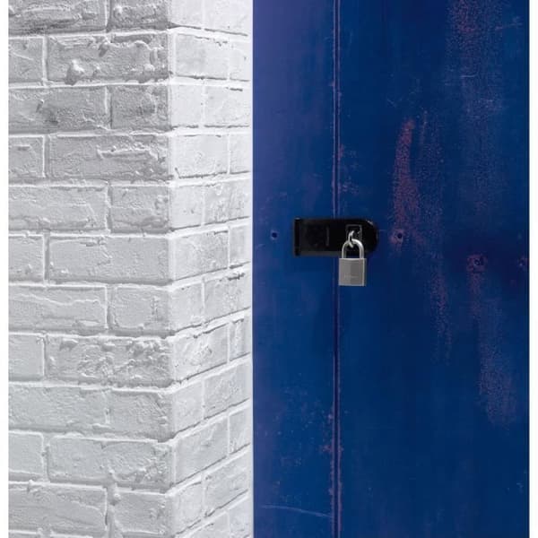 MASTER LOCK 40 mm Nickel-Plated Brass Padlock - Hexagonal Shackle - High Security
