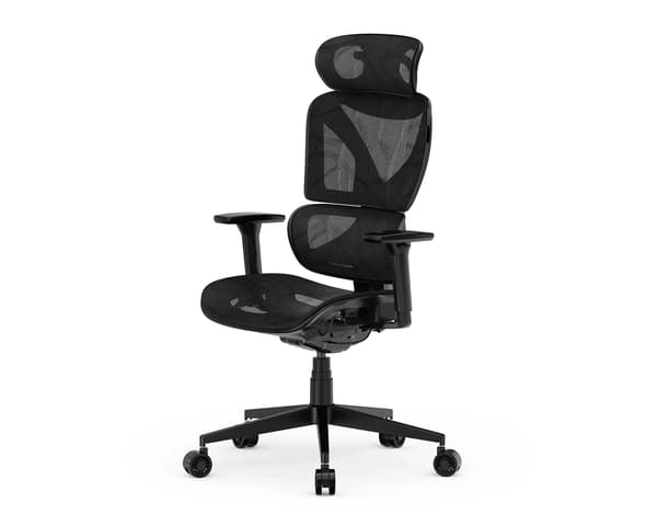 SpineX Pro Ergonomisk Kontorstol - Sort