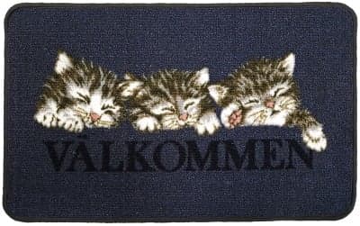 Tromb Grå 45x75 cm Dörrmatta