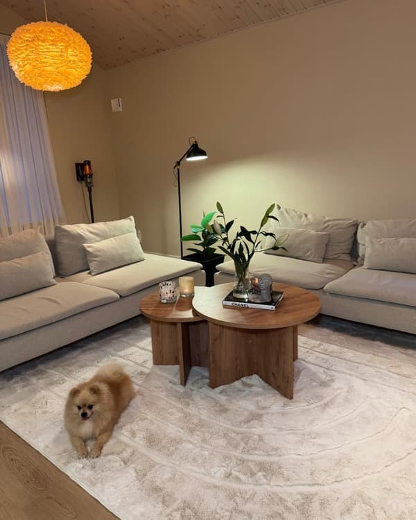 Rabbit Soho Lysbeige 200x290 cm Pelsmåtte