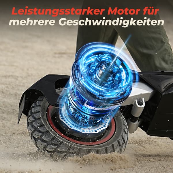 El-løbehjul Circooter R3, foderbar, maks. 20 km/t, sort