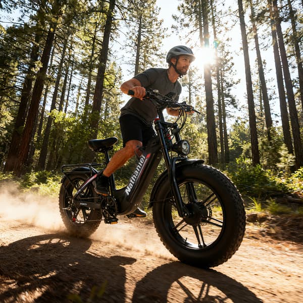 Elcykel med dobbeltmotor Nathaniel SYR08, 20\" Fat Tire, Sort