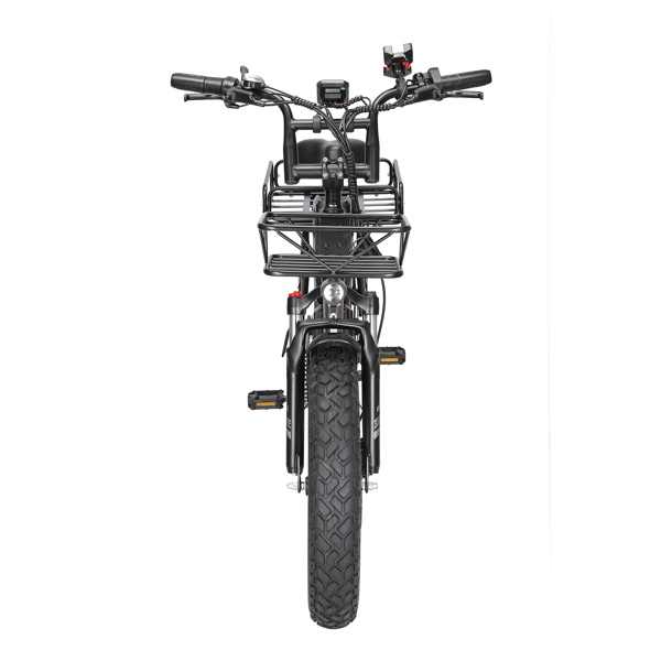 Elcykel SINOHON Delivery, Dubbla batterier Långfärdsleverans E-cykel, Svart