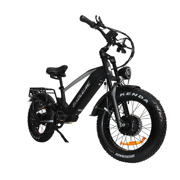 BAOLUJIE DP-2011 Dual Motor Elcykel 24x4 Dæk 48V 20Ah, Sort
