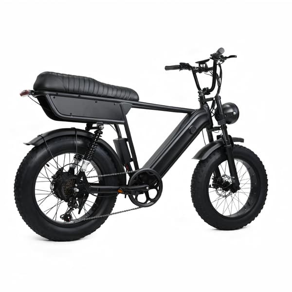 YANGOR Y20 PLUS 20\" Fat Tire Elcykel Hydrauliske Bremser, Sort
