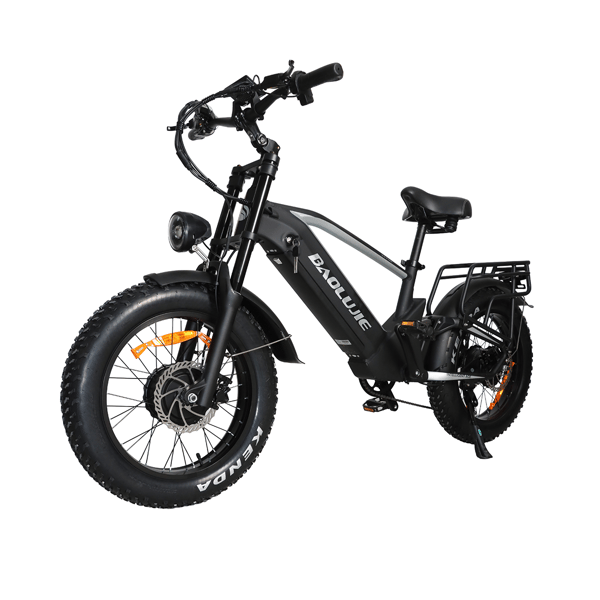 BAOLUJIE DP-2011 Dual Motor Elcykel 24x4 Dæk 48V 20Ah, Sort