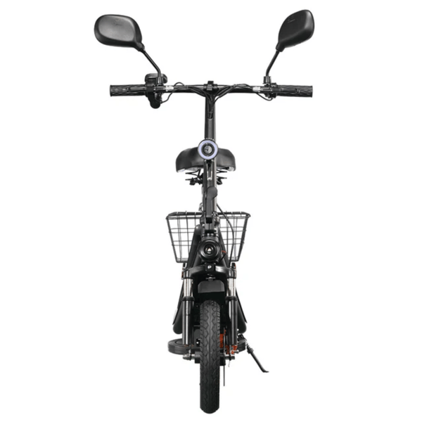 El-løbehjul TWOFISH M5 Pro-E, 12", 48V 13Ah batteri, sort